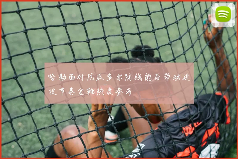 哈勒面对厄瓜多尔防线能否带动进攻节奏金靴热度参考