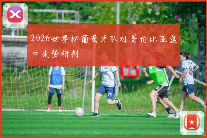 2026世界杯葡萄牙队对哥伦比亚盘口走势研判