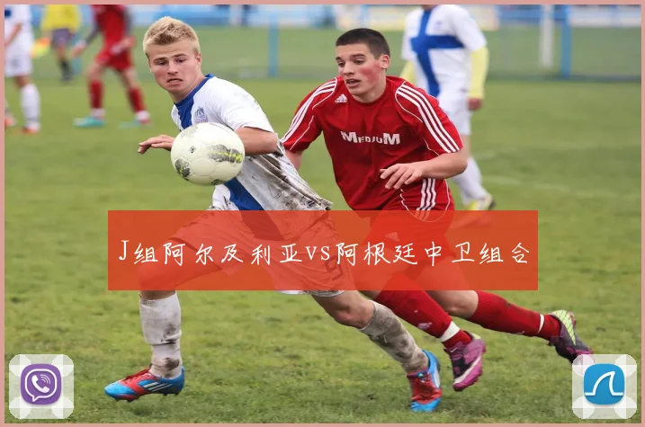 J组阿尔及利亚vs阿根廷中卫组合