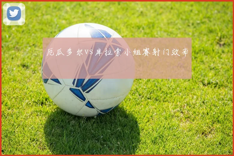 厄瓜多尔vs库拉索小组赛射门效率