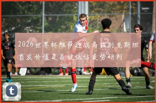 2026世界杯维萨迎战乌兹别克斯坦首发价值是否被低估走势研判