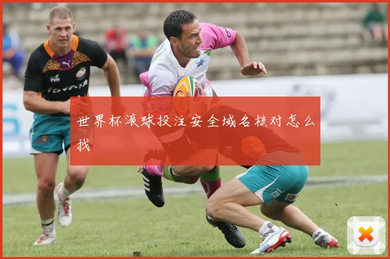 世界杯滚球投注安全域名核对怎么找