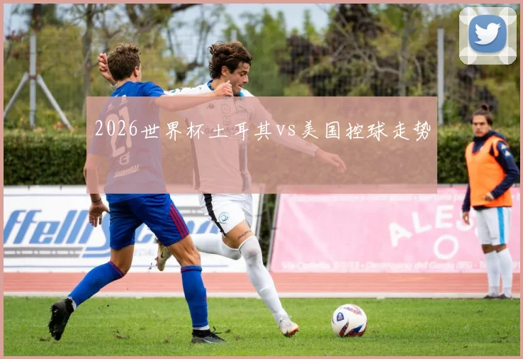 2026世界杯土耳其vs美国控球走势