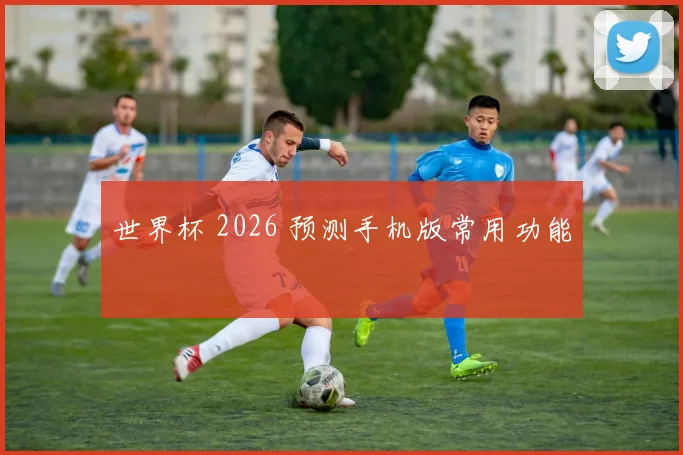世界杯 2026 预测手机版常用功能