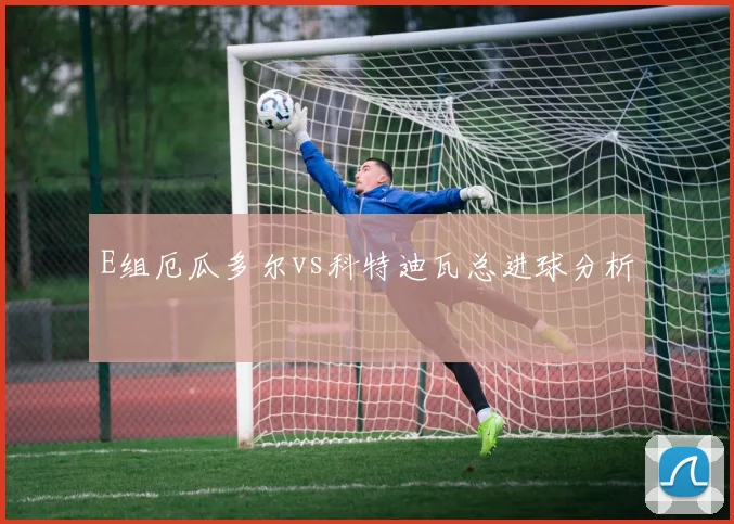 E组厄瓜多尔vs科特迪瓦总进球分析
